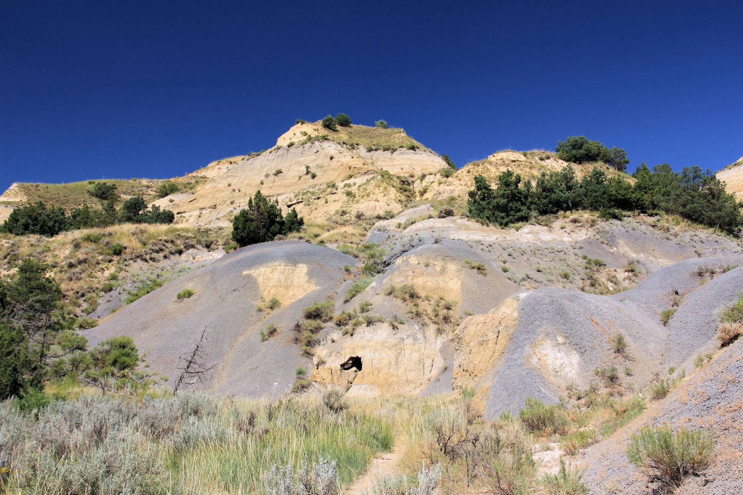 North Unit Caprock Coulie 